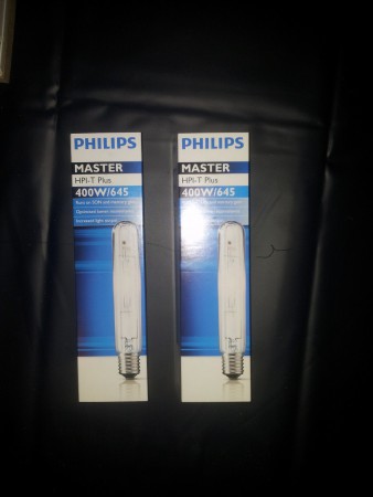 Groei lampies