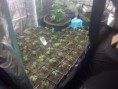 /album/fotogalerij/img-20130328-00346-jpg/